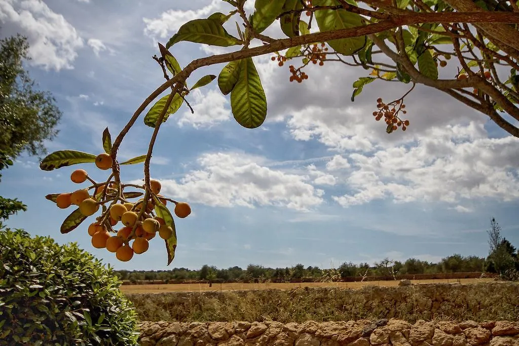 Country house Finca Agroturismo Can Carro Campos  Spain