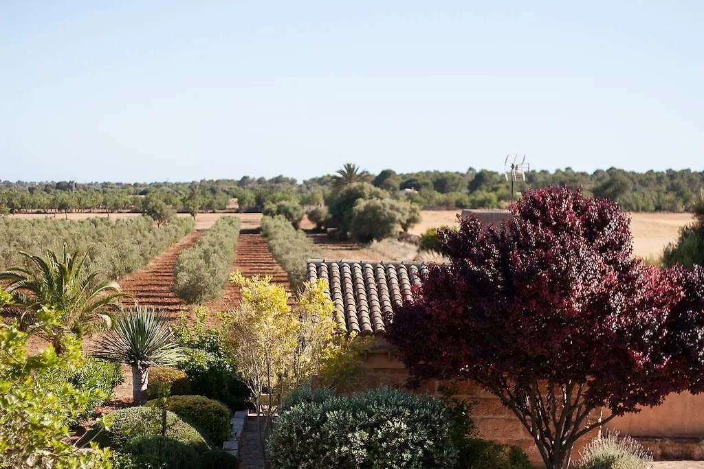 Casa di campagna Finca Agroturismo Can Carro Campos